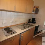 Rent 1 bedroom apartment of 50 m² in Nuremberg