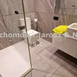 Rent 4 bedroom apartment of 140 m² in Częstochowa