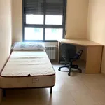 Rent 5 bedroom apartment in Castellón de la Plana