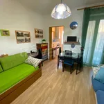 Rent 1 bedroom apartment of 30 m² in Torino