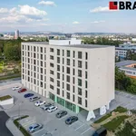 Pronajměte si 2 ložnic/e byt o rozloze 37 m² v Brno