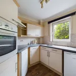 Rent 1 bedroom flat in Derby