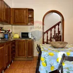 Rent 7 bedroom house of 100 m² in Piombino