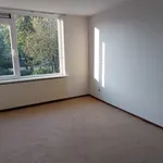 Rent 4 bedroom house of 128 m² in Nijmegen