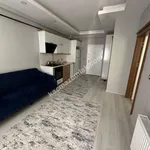 Rent 2 bedroom apartment of 50 m² in Batman