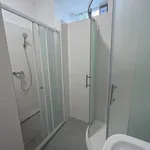 Rent 3 bedroom apartment in Brno