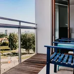 Rent 3 bedroom apartment of 67 m² in Warszawa