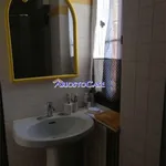 Rent 1 bedroom apartment of 43 m² in ferrara