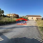 Affitto 1 camera casa di 200 m² in Cancello ed Arnone