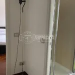 Rent 2 bedroom apartment of 55 m² in Milano