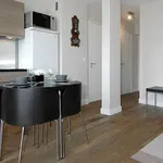 Rent 1 bedroom apartment of 35 m² in Paris