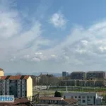 Rent 3 bedroom apartment of 94 m² in Turin