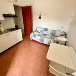 Rent 2 bedroom apartment of 35 m² in Milan