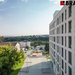 Rent 2 bedroom apartment of 37 m² in Brno