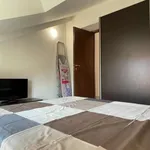 Rent 1 bedroom apartment of 45 m² in milan