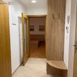 Rent 2 bedroom apartment of 44 m² in Trhový Štěpánov