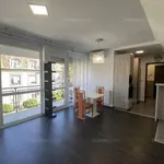 Rent 2 bedroom apartment of 46 m² in Gyor