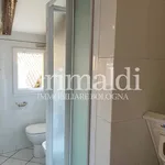 Rent 1 bedroom apartment of 42 m² in Bologna