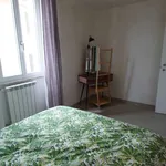 Rent 1 bedroom apartment of 35 m² in rome