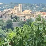 Rent 1 bedroom apartment of 24 m² in Saint-Paul-de-Vence