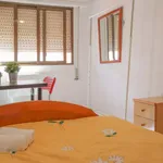 Alquilar 4 dormitorio apartamento en Madrid