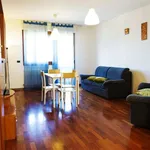 Rent 2 bedroom apartment in bologna