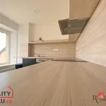 Rent 2 bedroom apartment of 97 m² in Ostrava