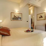 Rent 3 bedroom apartment of 60 m² in Firenze