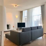 Rent 2 bedroom apartment of 130 m² in Den Haag