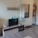 Rent 1 bedroom apartment of 50 m² in Municipal Unit of Rio