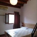 Rent 2 bedroom apartment of 50 m² in Palermo