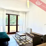 Rent 2 bedroom apartment of 55 m² in Krakow