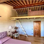 Rent 4 bedroom apartment of 100 m² in Vicopisano