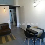 Rent 1 bedroom apartment of 45 m² in Turin