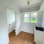 Rent 4 bedroom house in New Lynn