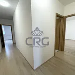 Rent 4 bedroom apartment in Brno venkov