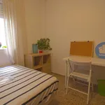 Alquilar 4 dormitorio apartamento en Valencia