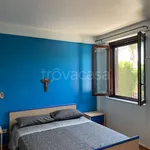 Affitto 2 camera casa di 55 m² in Campofelice di Roccella