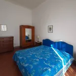 Rent 3 bedroom apartment of 65 m² in Florence