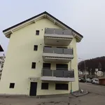 Rent 4 bedroom apartment of 110 m² in  Schweiz