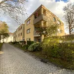 Rent 2 bedroom apartment of 54 m² in Weißenthurm