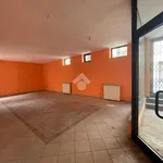 Rent 1 bedroom apartment of 100 m² in Borgomanero