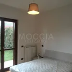 Rent 4 bedroom apartment of 140 m² in Caserta