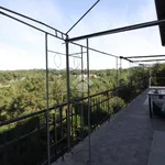 Rent 4 bedroom apartment of 130 m² in Malnate