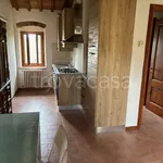 Rent 2 bedroom apartment of 45 m² in Firenze