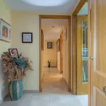 Rent 2 bedroom apartment in Alicante