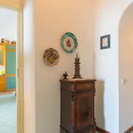 Rent 7 bedroom apartment of 100 m² in Casamicciola Terme