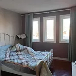 Rent 1 bedroom house in Richmond Hill (Devonsleigh)