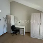 Rent 1 bedroom apartment of 20 m² in Torino