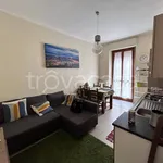 Rent 2 bedroom apartment of 50 m² in Moncalieri